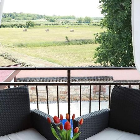 Porec Villa Luna With Pool Экстерьер фото